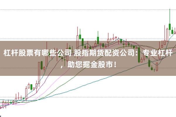 杠杆股票有哪些公司 股指期货配资公司：专业杠杆，助您掘金股市！