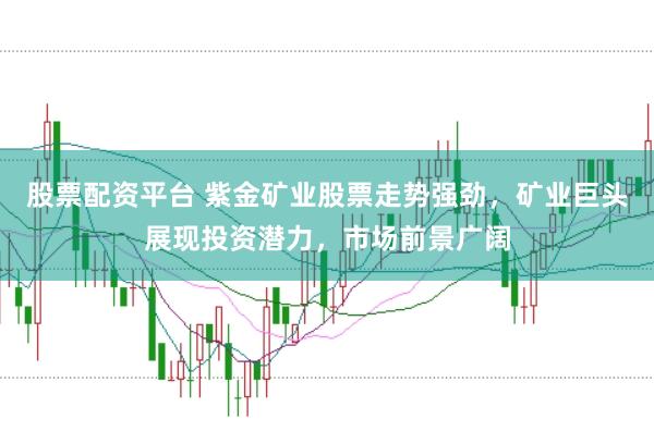 股票配资平台 紫金矿业股票走势强劲，矿业巨头展现投资潜力，市场前景广阔