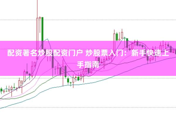 配资著名炒股配资门户 炒股票入门：新手快速上手指南