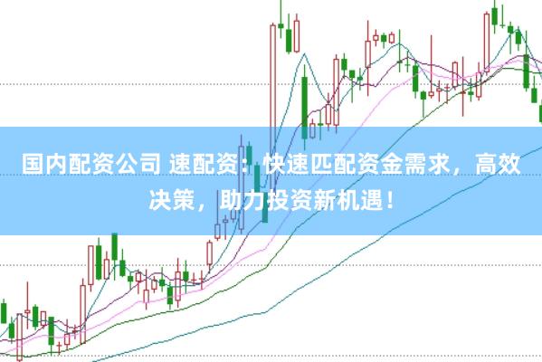 国内配资公司 速配资：快速匹配资金需求，高效决策，助力投资新机遇！