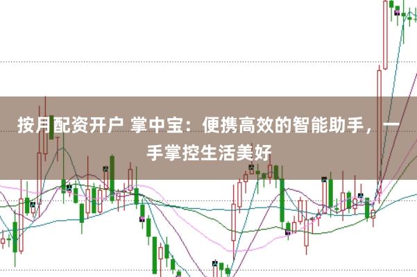 按月配资开户 掌中宝：便携高效的智能助手，一手掌控生活美好