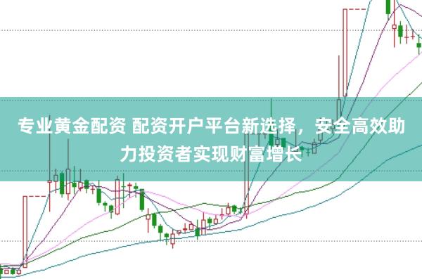 专业黄金配资 配资开户平台新选择，安全高效助力投资者实现财富增长
