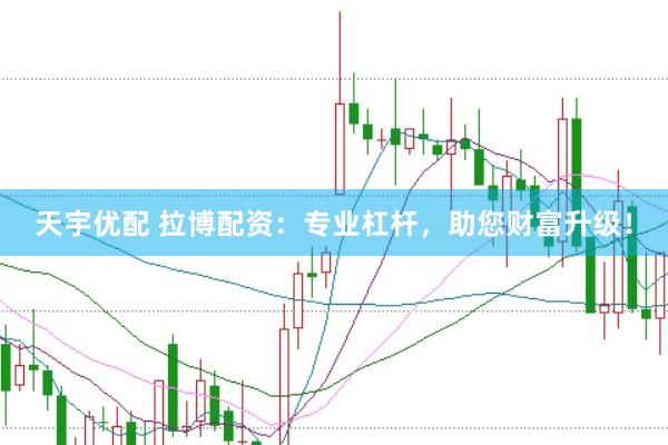 天宇优配 拉博配资：专业杠杆，助您财富升级！