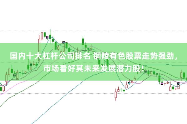 国内十大杠杆公司排名 铜陵有色股票走势强劲，市场看好其未来发展潜力股！