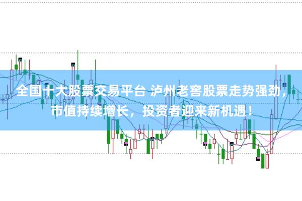 全国十大股票交易平台 泸州老窖股票走势强劲，市值持续增长，投资者迎来新机遇！
