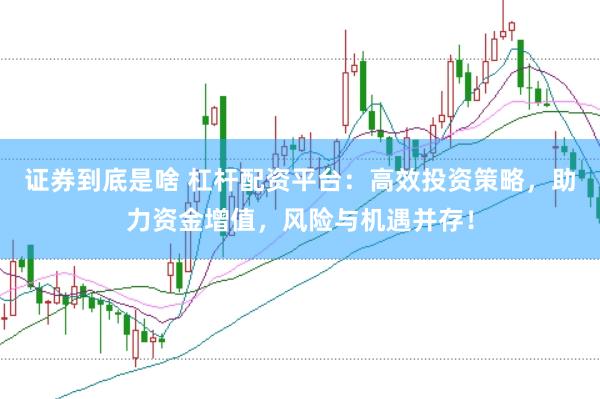 证券到底是啥 杠杆配资平台：高效投资策略，助力资金增值，风险与机遇并存！
