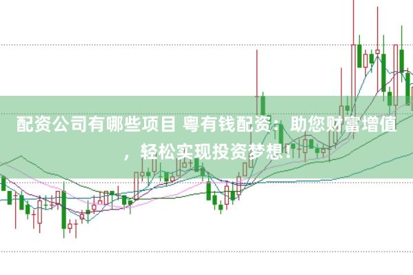 配资公司有哪些项目 粤有钱配资：助您财富增值，轻松实现投资梦想！