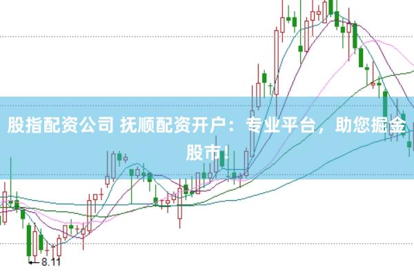 股指配资公司 抚顺配资开户：专业平台，助您掘金股市！