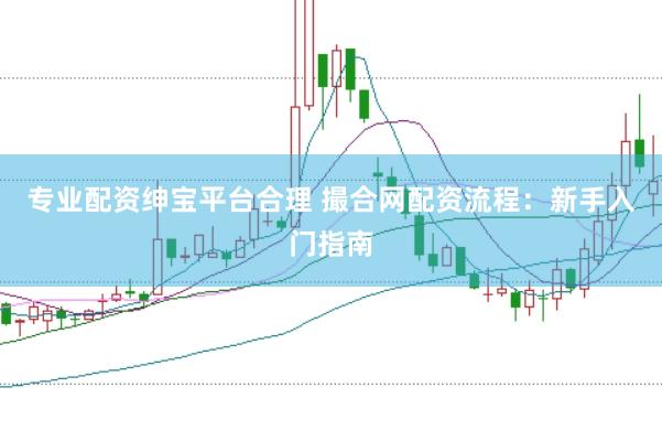 专业配资绅宝平台合理 撮合网配资流程：新手入门指南