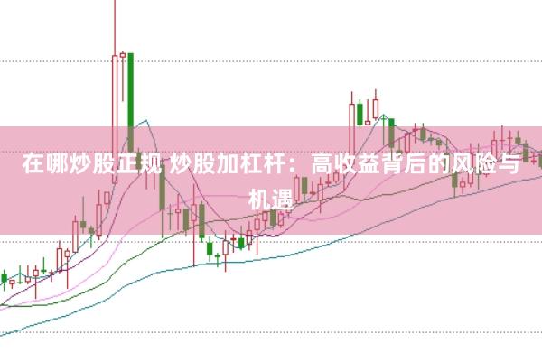 在哪炒股正规 炒股加杠杆：高收益背后的风险与机遇