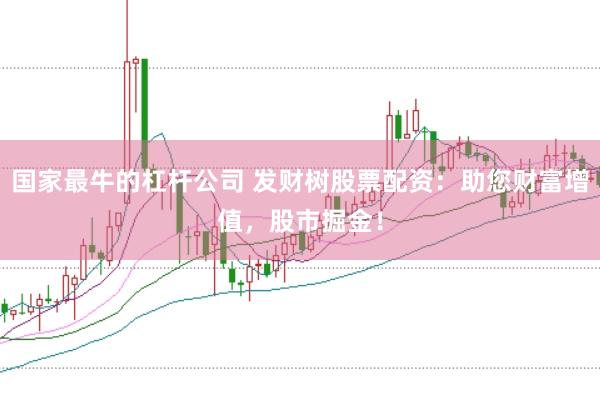 国家最牛的杠杆公司 发财树股票配资：助您财富增值，股市掘金！