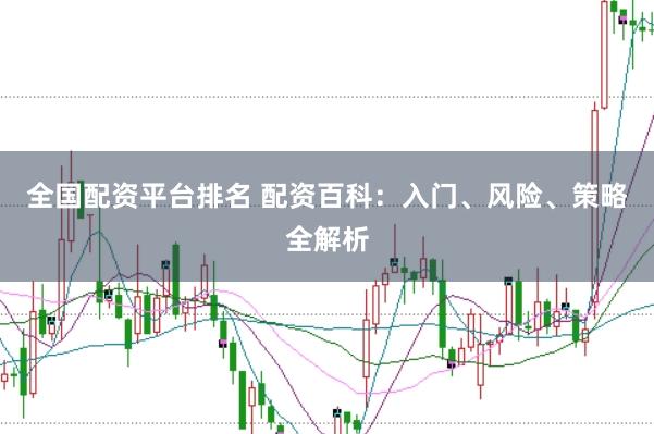 全国配资平台排名 配资百科：入门、风险、策略全解析