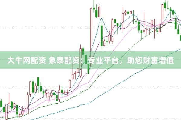 大牛网配资 象泰配资：专业平台，助您财富增值