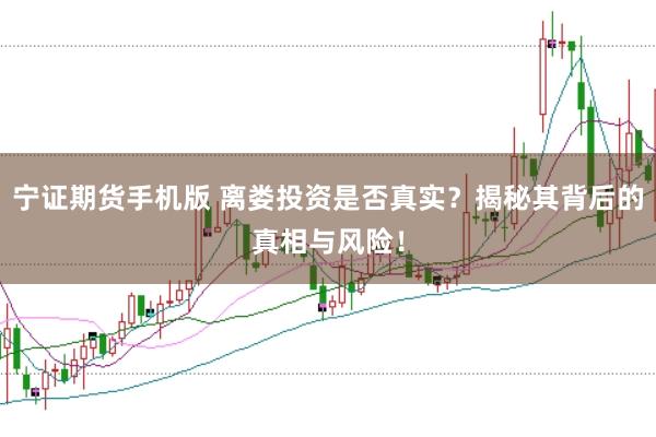 宁证期货手机版 离娄投资是否真实？揭秘其背后的真相与风险！