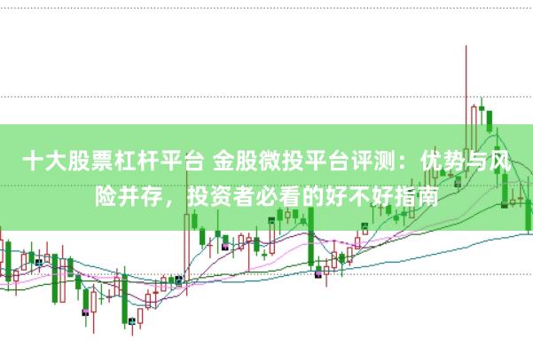 十大股票杠杆平台 金股微投平台评测：优势与风险并存，投资者必看的好不好指南