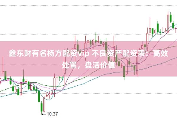 鑫东财有名杨方配资vip 不良资产配资表：高效处置，盘活价值