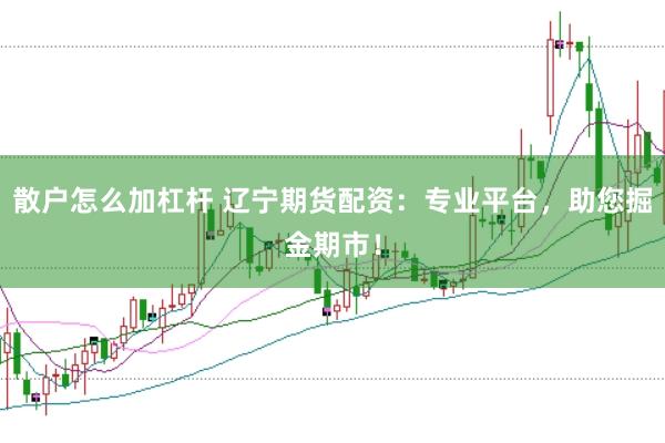 散户怎么加杠杆 辽宁期货配资：专业平台，助您掘金期市！