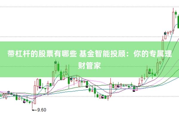 带杠杆的股票有哪些 基金智能投顾：你的专属理财管家