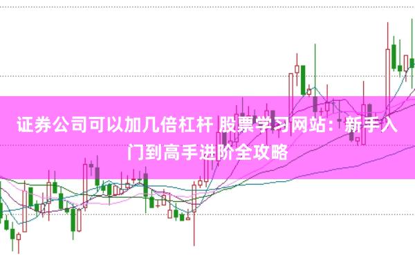 证券公司可以加几倍杠杆 股票学习网站：新手入门到高手进阶全攻略