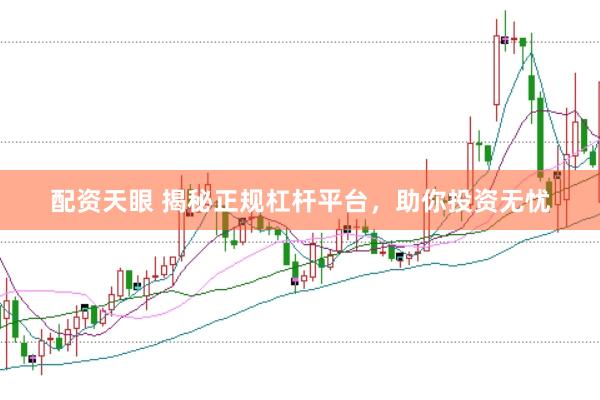 配资天眼 揭秘正规杠杆平台，助你投资无忧
