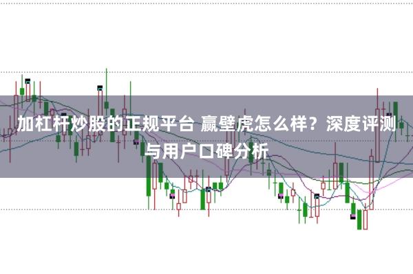 加杠杆炒股的正规平台 赢壁虎怎么样?深度评测与用户口碑分析