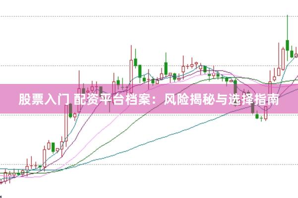 股票入门 配资平台档案：风险揭秘与选择指南