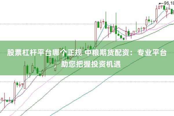 股票杠杆平台哪个正规 中粮期货配资:专业平台,助您把握投资机遇