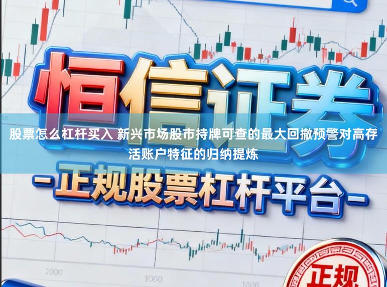 股票怎么杠杆买入 新兴市场股市持牌可查的最大回撤预警对高存活账户特征的归纳提炼